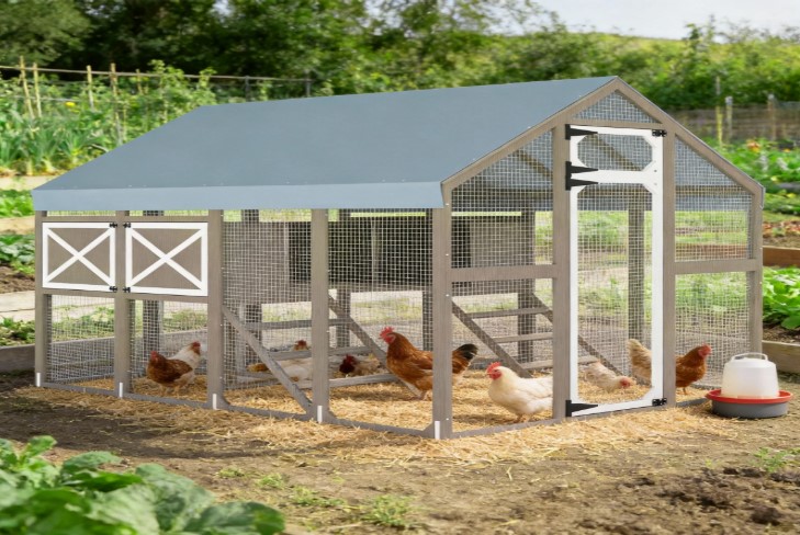 How to Expand Your Chicken Coop Without Starting From Scratch
